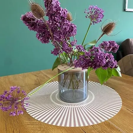 2-zimmer Zentral In Ferdinandshof, Wlan Modern Appartamento Ferdinandshof