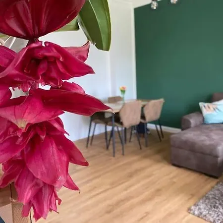 2-zimmer Zentral In Ferdinandshof, Wlan Modern Διαμέρισμα *