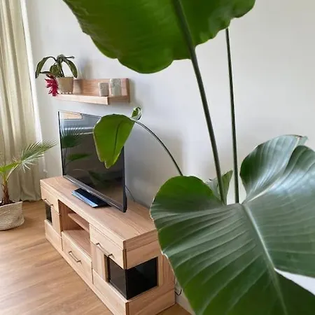 2-zimmer Zentral In Ferdinandshof, Wlan Modern Διαμέρισμα