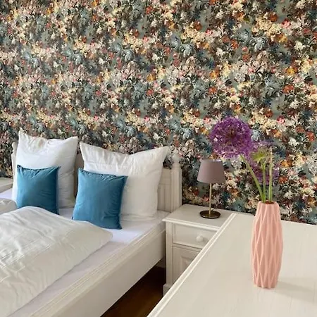 Appartamento 2-zimmer Zentral In Ferdinandshof, Wlan Modern *