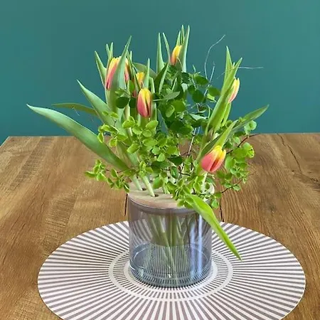 Appartamento 2-zimmer Zentral In Ferdinandshof, Wlan Modern Ferdinandshof