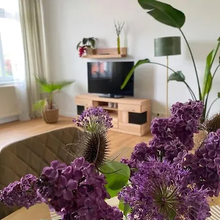 2-zimmer Zentral In Ferdinandshof, Wlan Modern *