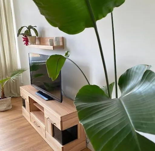 2-zimmer Zentral In Ferdinandshof, Wlan Modern Apartamento