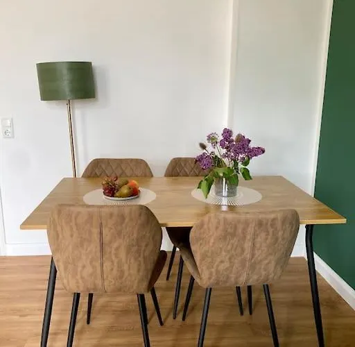 Apartamento 2-zimmer Zentral In Ferdinandshof, Wlan Modern
