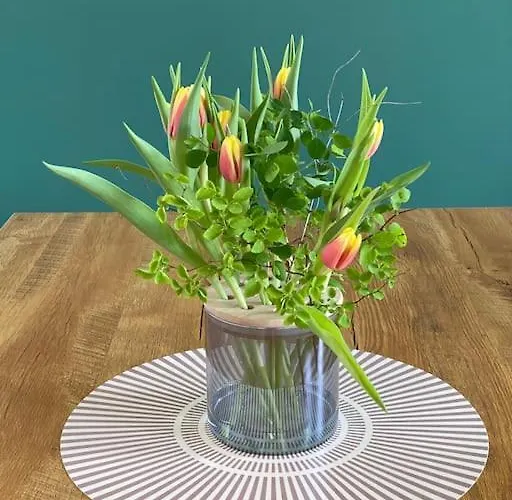 Lägenhet 2-zimmer Zentral In Ferdinandshof, Wlan Modern Ferdinandshof