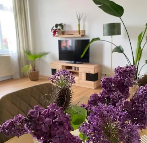 2-zimmer Zentral In Ferdinandshof, Wlan Modern *